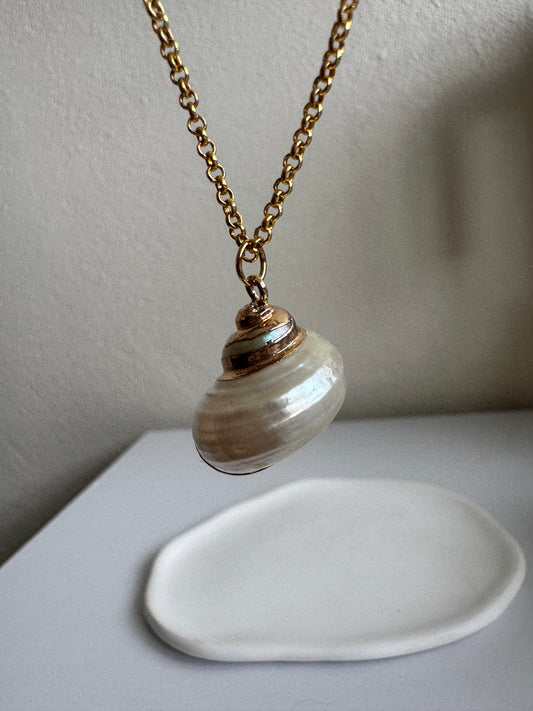 Natural Seashell Pendant Necklace