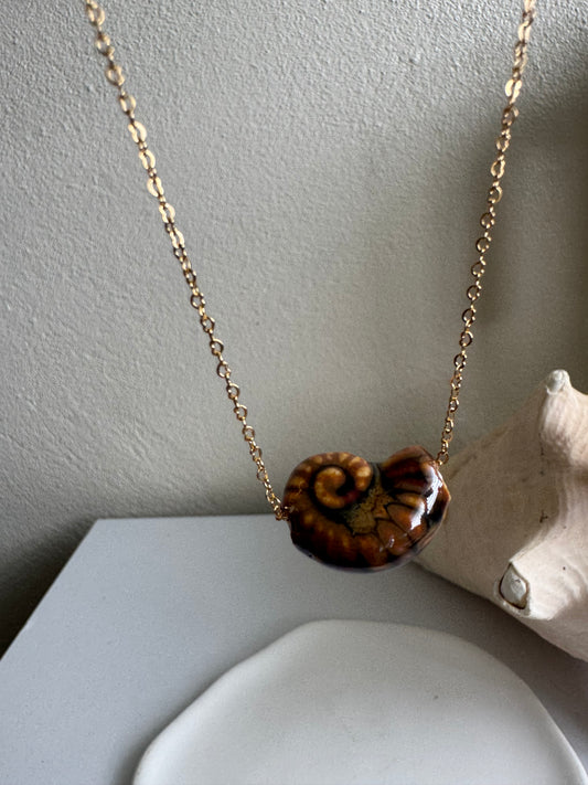 Ammonite Fossil Necklace